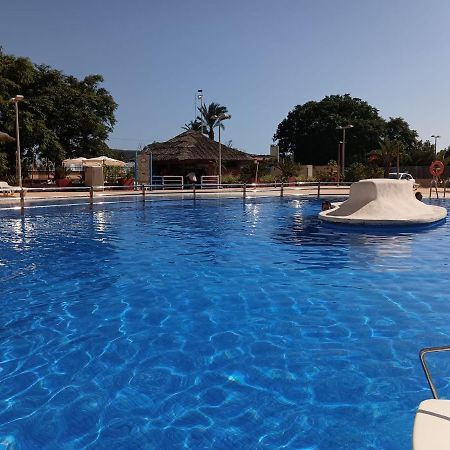 Sunny Place. Guardamar del Segura Extérieur photo