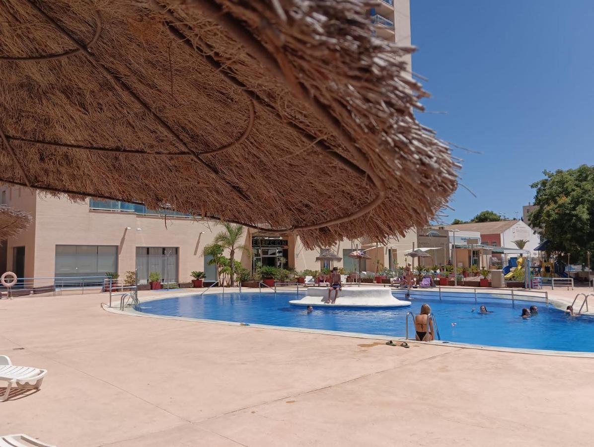 Sunny Place. Guardamar del Segura Extérieur photo